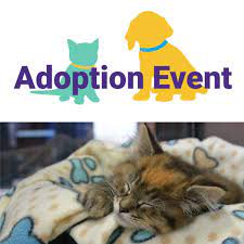 Read our bird room meditations for thoughts on finding or returning to christianity. Adoption Event Maryland Spca