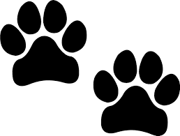 More images for how to draw dog footprints » Realistic Drawing Dog Paw Print Novocom Top