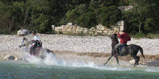 Congratulations to tourcert on the ecotrophea 2016 for their project tourcert andina! Ganzjahrige Ausfluge Camp Dvor