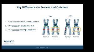 dGH in-Site™ Probes - KromaTiD