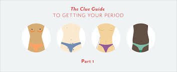 Part 1 The Clue Guide To Getting Your Period Clued In