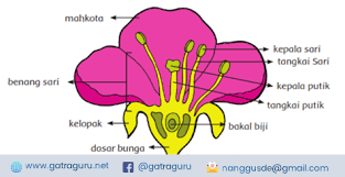 Check spelling or type a new query. Rangkuman Materi Ipa Kelas Vi Tema 1 Gatra Guru