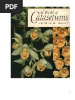 Image result for Agelanthus lugardii