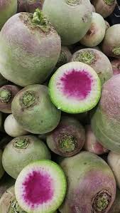 Differents Radis Radis Red Meat Terre Y Fruits Loudun Facebook