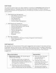 Internal Business Proposal Examples Lovely Sample Audit Plan In 2020 Business Proposal Template Business Proposal Examples Business Proposal
