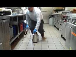 Essential pest control is a pest control tucson company providing quality services in bug & termite control, bee removal Commercial Pest Control Essential Pest Control Youtube