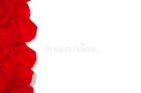 We did not find results for: Red Rose Petals Background Closeup Isolated On White Background Withcopy Space For Your Text High Resolution Stock Image Image Of Background Blossom 164052811