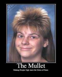 Whats the difference between a man and a condom. Mullet Haircut Jokes