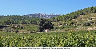 A sweet fortified wine of the type vin doux naturel (vdn), under the designation muscat de beaumes de venise. Weine Und Produzenten Aus Frankreich Rhone Beaumes De Venise Aoc Wein Plus Wein Regionen