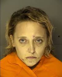 2 arrested after stolen RVs recovered, one painted and given false plate