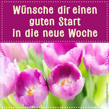 Guten morgen liebe leser und leserinnen, die folgen des klimawandels sind in diesem sommer besonders präsent. Wunsche Dir Einen Guten Start In Die Neue Woche Neue Woche Wunsche Neue Wege