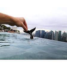 Hotels Live Com Hotels Live Com Added 371 New Photos To Photo Worlds Largest Infinity Pool