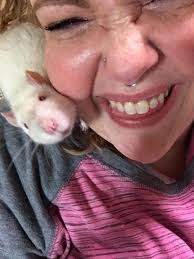 Here we go, more 🐂💩 from the DemoRATic party!