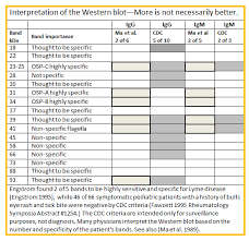 Lyme corps members consisted of medical and public health students chosen annually from a selected university system in areas of high lyme disease incidence. Lyme Disease Tests Learn About The Lyme Tests Available Lymedisease Org