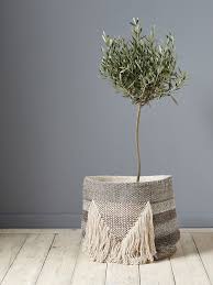 Epingle Sur La Nature Envahit La Deco