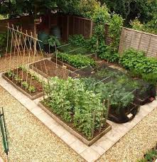 80 Affordable Backyard Vegetable Garden Design Ideas Modern Design Vegetable Garden Design Garden Design Layout Backyard Vegetable Gardens