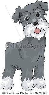Black And White Mini Schnauzer Clipart Eps Vectors Of Miniature Schnauzer Illustration Featuring A Schnauzer Art Schnauzer Drawing Dog Art