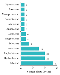 Image result for Bridelia duvigneaudii