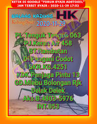 1 New Message Kode Syair Hongkong 29 November 2020 Forum Syair Togel Hongkong Singapura Sydney