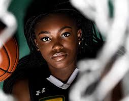 Parkdale Projects :: Photos, videos, logos, illustrations and branding ::  Behance