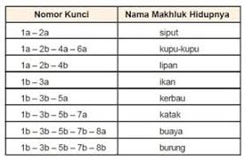 We did not find results for: Klasifikasi Makhluk Hidup Pengertian Manfaat Dasar Contoh