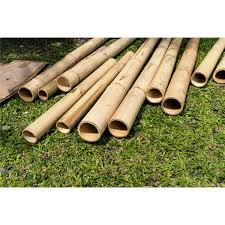 Maybe you would like to learn more about one of these? Bamboo Pole 10ft 40 45mm Waterperry Gardens Oxfordshire Garden Centre Buy Plants Online Gardening Courses Arts And Craft Courses