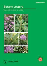 Image result for Vandenboschia gigantea