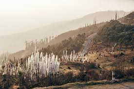 The lesser (or lower) himalayas cover the. Bhutan A Trip To The Land Of Happiness
