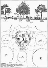 We did not find results for: Mediterranean Understory Guild Plants For Food Forests Part 1 Green Bean Connection