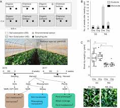 Analysis (aesa) considers defenders in the field along with pest. Multi Omics Analysis On An Agroecosystem Reveals The Significant Role Of Organic Nitrogen To Increase Agricultural Crop Yield Pnas