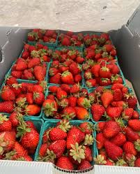 Profile for Strawn Berry Farm