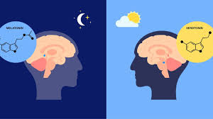 Melatonin als Einschlafhilfe? - SWR Wissen