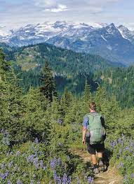 Washington Mt Rainier National Park Pacific Crest Trail Association Photo Gallery Pacific Crest Trail Outdoors Adventure Places To Travel