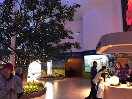 Inside The Flower Bowl Picture Of The Flower Bowl Entertainment Centre Barton Tripadvisor