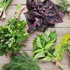 Vous pouvez facilement les cultiver en intérieur, dans votre. Top 5 Des Plantes Et Herbes Aromatiques A Faire Pousser Chez Soi