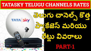 Tatasky Dth Telugu Channels New Packages And Rates Part 1 Tata Sky Sd Hd Packs Tatasky New Plans Youtube Tata sky best recharge plan 👍 tata sky dhamaka rechargr plan 💥 tata sky rechargr plan 199. tatasky dth telugu channels new packages and rates part 1 tata sky sd hd packs tatasky new plans