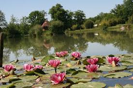 C'est une promesse d'une balade en toute sérénité. Venansault Les Jardins Du Loriot Association Des Parcs Et Jardins De Vendee