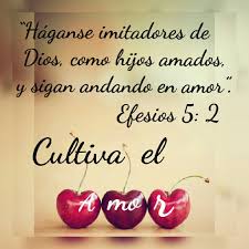 Pin By Susana Perez On Testigos De Jehova Y Textos De La Biblia Bible Quotes Bible Text Jw Org