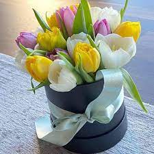 Does anyone know an ent practice in port st. Flowers Lab Home Facebook