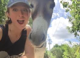 Archive Enrichment Award Reports |