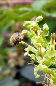 Pin On Nature News From Dorset