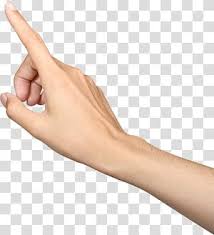Person S Right Hand Index Finger Hand Fingers Transparent Background Png Clipart Clip Art Transparent Background Finger Hands