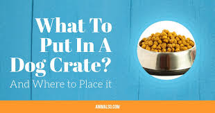 Dog crate covers, indoor, outdoor & decorative dog crate covers. What To Put And Not To Put In A Dog Crate And Where To Place It Animalso