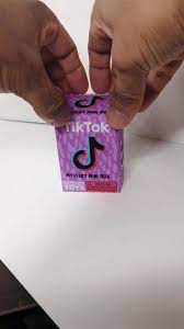 Tik Tok Mystery Box Pt 1 Tinyfood Minibrands Fyp Tinythings Mysterybag Unboxing