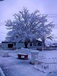 Pin En Del Mexico De Mis Amores 2