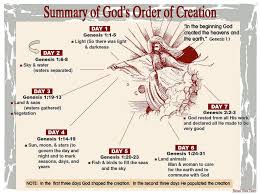Summary Of Gods Order Of Creation Bible Study Notebook