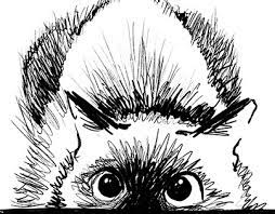 Welcome to our world, we're so glad you could make it. P O U N C E Projects Photos Videos Logos Illustrations And Branding On Behance