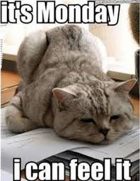 90 Funny Monday Coffee Meme Images To Make You Laugh Funny Good Morning Memes Good Morning Funny Morning Memes