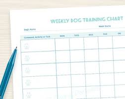 Puppy Potty Training Chart Www Bedowntowndaytona Com