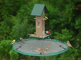 Bird Cage Seed Catcher Diy Bird Cages For Sale Ebay Bird Feeders Bird Seed Feeders Platform Bird Feeder